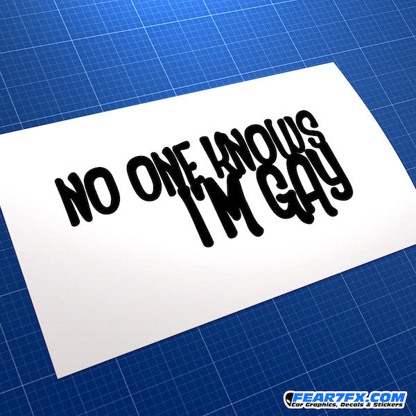 No One Knows I'm Gay Funny JDM Car Vinyl Decal Sticker