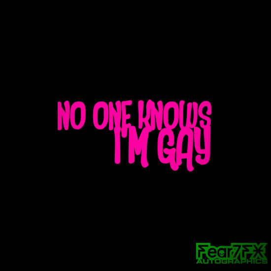 No One Knows I'm Gay Funny JDM Car Vinyl Decal Sticker