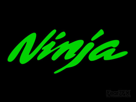 2x Ninja Kawasaki Bike Vinyl Decal