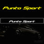 Punto Sport Vinyl Windscreen SunStrip Any 2 Colours