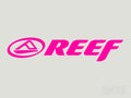 2x Reef Vinyl Transfer Decal