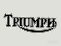 2x Triumph Bike Vinyl Transfer Decal